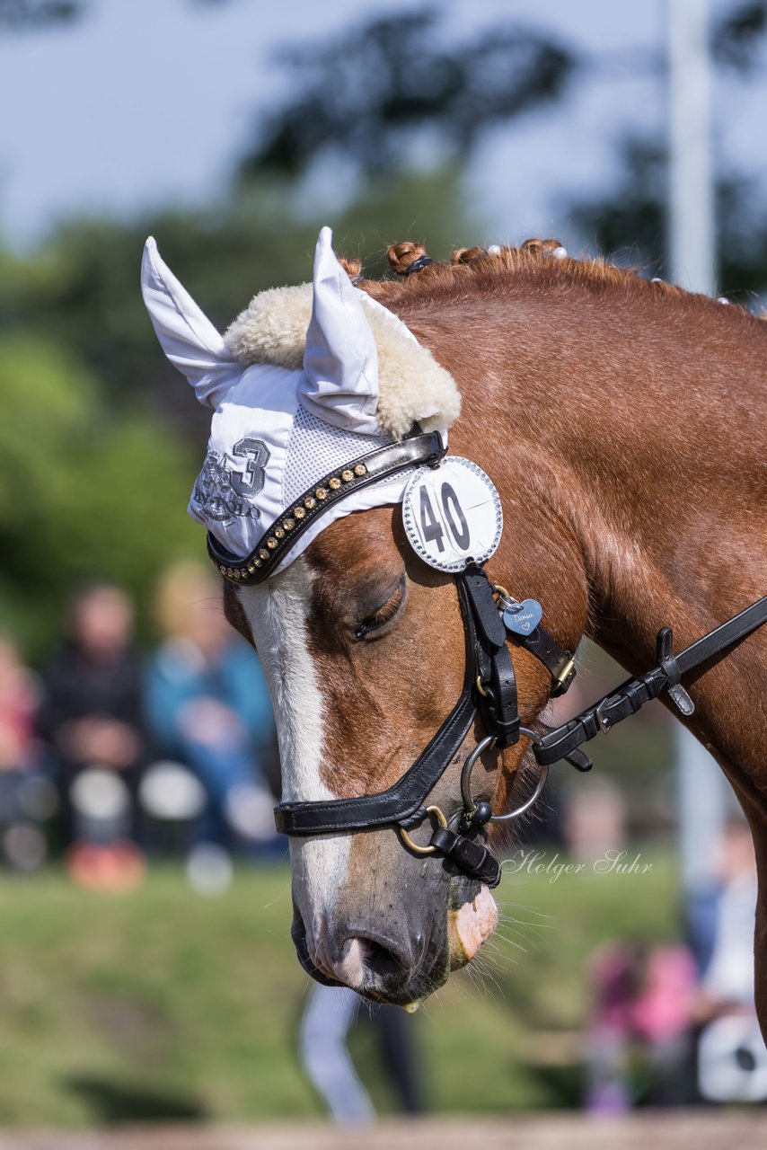 Bild 309 - Pony Akademie Turnier